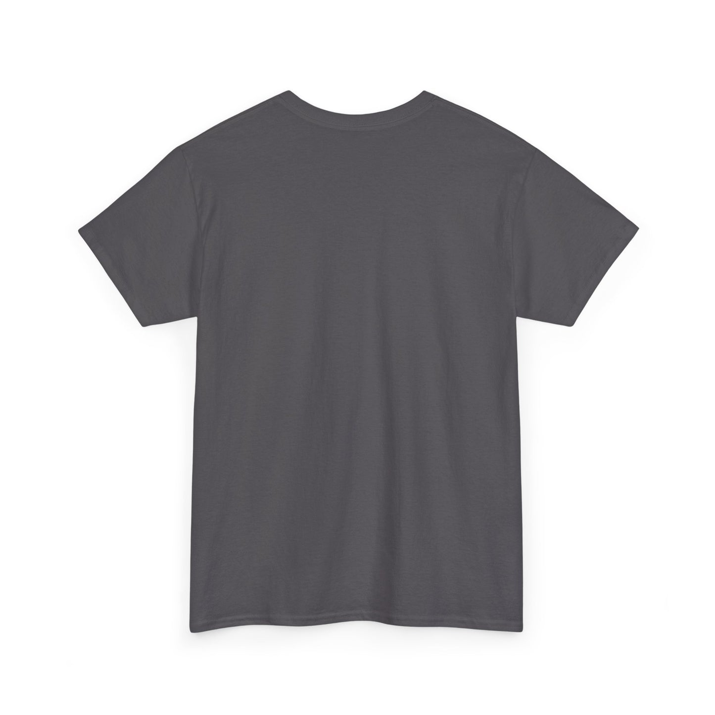 Outlaw T-Shirt - Western Graphic Tee